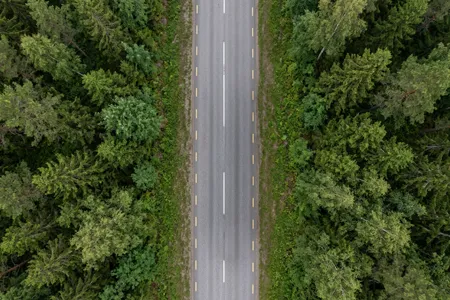 holzbau logistik